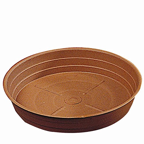 S/VASO SABBIATO COL/COTTO CM10 - Maison & Cuisine Amazon Allemagne à 1.00€
