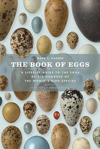 The Book of Eggs: A Life-Size Guide to the Eggs of Six... - Animalerie Amazon Royaume-Uni à 1.99€