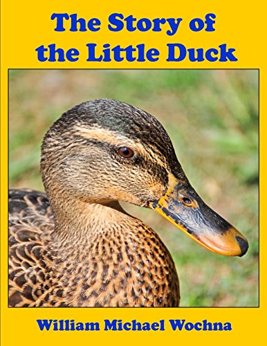 The Story of the Little Duck (English Edition) - Maison & Cuisine Amazon Espagne à 2.69€