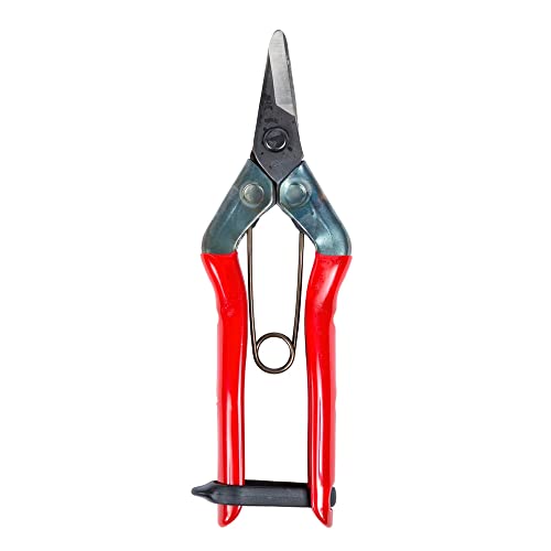 Chikamasa 8250001 Ciseau recolectora s 202 165 mm - Bricolage & Outils Amazon France à 7.18€