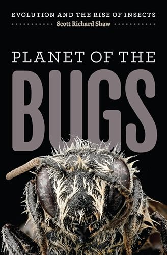 Planet of the Bugs: Evolution and the Rise of Insects - Amazon Royaume-Uni à 2.99€