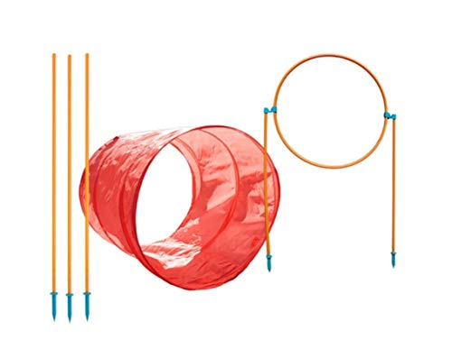 Outward 2528 Hound - Set de Entrenamiento de Agilidad de... - Jouets & Jeux Amazon Espagne à 41.96€