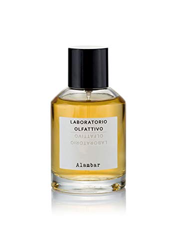 LABORATORIO OLFATTIVO Lab Olfatt Cozumel EDP Vapo 100 ml - Beauté & Parfums Amazon France à 82.19€