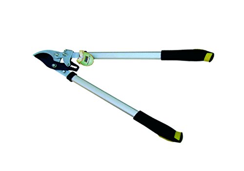Kippen 6071 a – Tijeras de podar podadora corte by-pass - Bricolage & Outils Amazon Espagne à 8.31€