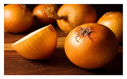 PREMIER SEEDS DIRECT - Onion - Stuttgart - 4.0 GRAM ~... - High-Tech & Électronique Amazon Royaume-Uni à 1.59€