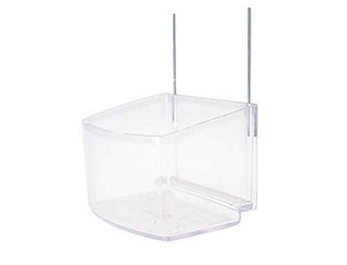 Beeztees Feeder Guinea Transparente, 220 ml P - Amazon Espagne à 6.09€