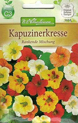 Chrestensen Kapuzinerkresse 'Rankende Mischung' - Jardin & Extérieur Amazon Allemagne à 1.49€