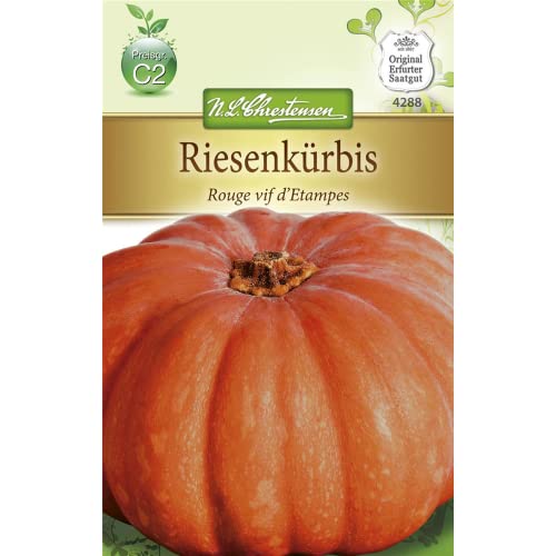 Chrestensen Calabaza gigante "Rouge vif d'Etampes" - Jardin & Extérieur Amazon Espagne à 3.54€