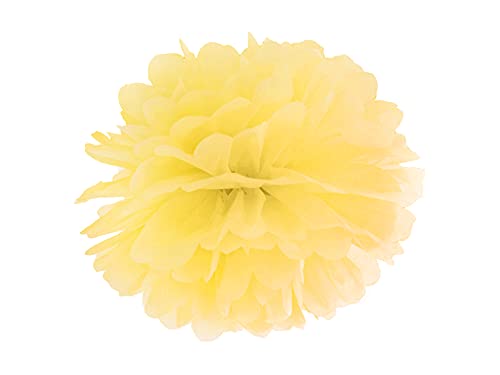 25 cm Tissue Paper Pom Pom, Flower Ball, Hanging Garland... - Sports & Fitness Amazon Royaume-Uni à 1.14€