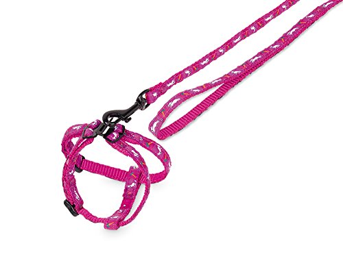 Nobby Carrot Ensemble pour Lapin Lilas en promo à 13,99€ (-40%) sur Amazon FR