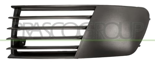 Prasco Griglia paraurti Anteriore Sinistro Inferiore Seat... - Amazon Italie à 9.72€