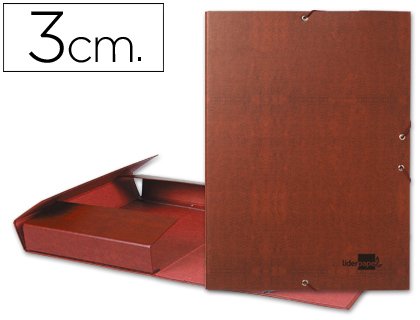 Liderpapel PY32 - Carpeta proyectos - Maison & Cuisine en promo à 5.76€