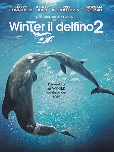 L'incredibile storia di Winter il delfino 2 - Livres & eBooks Amazon France à 2.24€