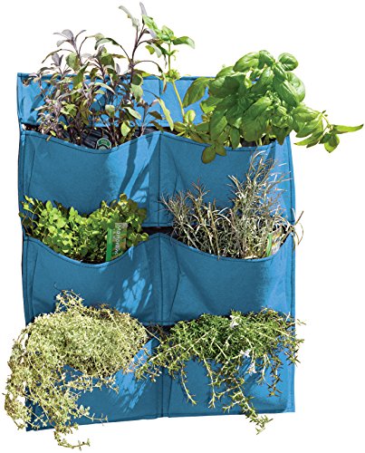 VegTrug FWP13BL Wall Felt Planter - Pale Blue - Jardin & Extérieur Amazon Royaume-Uni à 3.57€