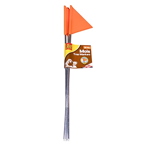 The Big Cheese Hi-Vis Mole Trap Marker -5-Pack. Stainless... - Jardin & Extérieur Amazon Royaume-Uni à 2.29€
