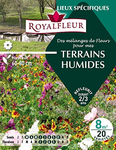 Royalfleur PFRE08819 Graines de des Mélange de Fleurs mes... - Jardin & Extérieur Amazon France à 9.93€
