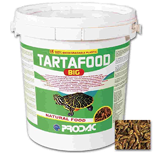 Comida para Reptiles y Anfibios Prodac TARTAFOOD Big 5lt... - Amazon Espagne à 24.20€