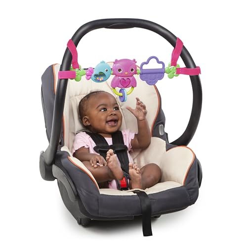Bright Starts Busy Birdies Barra portagiochi Musicale da... - Sports & Fitness Amazon Italy à 12.99€