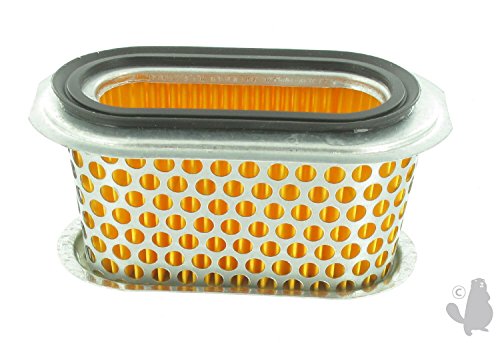 GREENSTAR - Filtre à Air - Pour Tondeuse HONDA GX160/F660... - Jardin & Extérieur Amazon France à 5.79€