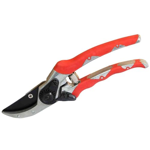 Siena Garden 313253 - Podadora de Cortar con Agilidad 21cm - Jardin & Extérieur Amazon Espagne à 20.84€
