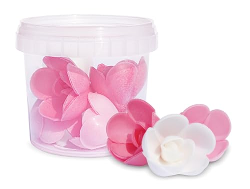 ScrapCooking 2264 Muffin Enzyme 6 Rosen Zutaten Mehrfarbig... - Tech & Electronics Amazon Germany à 3.63€