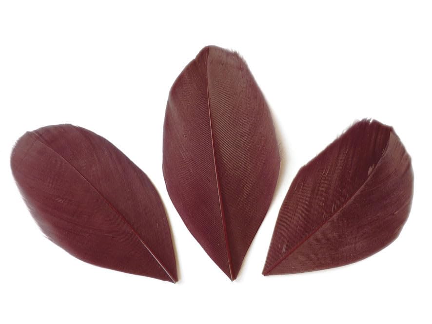 50 plumes coupées - Rouge Bordeaux 6 cm en promo à 2,48€ (-87%) sur Amazon FR