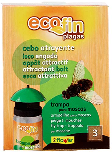 Flower RECAMBIO TRAMPA Para MOSCAS - High-Tech & Électronique Amazon France à 9.60€
