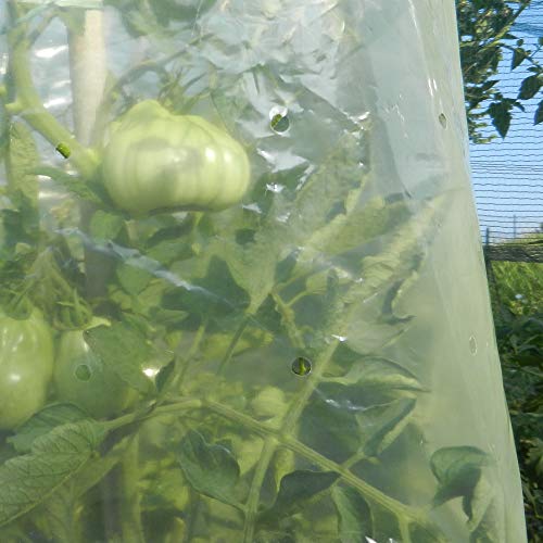 TENAX Mr.Tomato, Film Tubolare Microforato Giallo, 0,60x10... - Amazon Italie à 14.59€