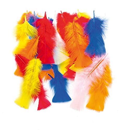 Baker Ross Lot de Longues Plumes Colorées - Idéal pour la... - Maison & Cuisine Amazon France à 4.99€