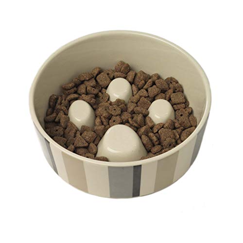 PetRageous Futternapf Metro Streifen, 17,8 x 5,7 cm - Animalerie en promo à 8.82€