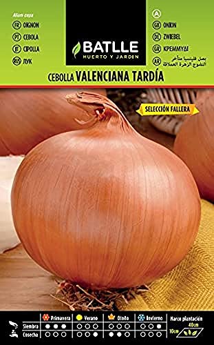 Semillas Batlle Cebolla Valen. Tardía Sel. FALLERA - Sports & Fitness Amazon Espagne à 1.60€