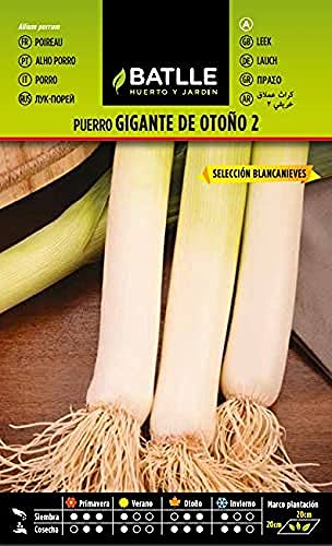Semi Batlle – puerros - Sports & Fitness Amazon Italie à 2.12€