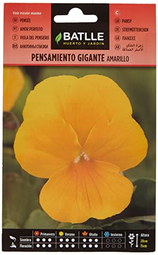 Semillas Batlle Pensamiento Gigante AMARILLO - Sports & Fitness Amazon Espagne à 1.00€