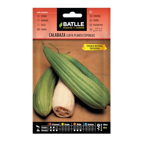 Semillas Batlle Calabaza LUFFA planta Esponjas - Jardin & Extérieur Amazon Espagne à 1.86€