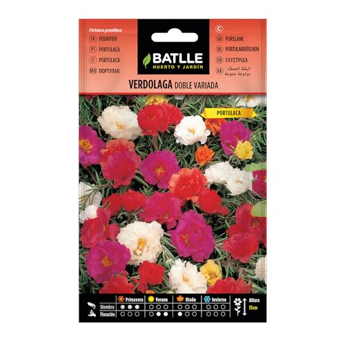 Semillas Batlle Verdolaga DOBLE Vda. (Portulaca) - Sports & Fitness en promo à 1.88€