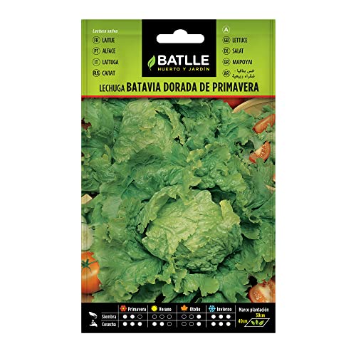 Semillas Batlle Lattuga BATAVIA DORATA PRIMAVERA - Sports & Fitness en promo à 2.12€