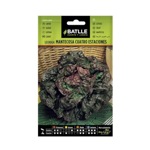 Semillas Batlle Lattuga Marv. 4 STAZIONI - Sports & Fitness en promo à 2.12€