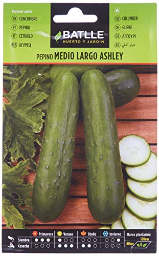 Concombre Ashley MI-Long - Beauté & Parfums en promo à 2.12€