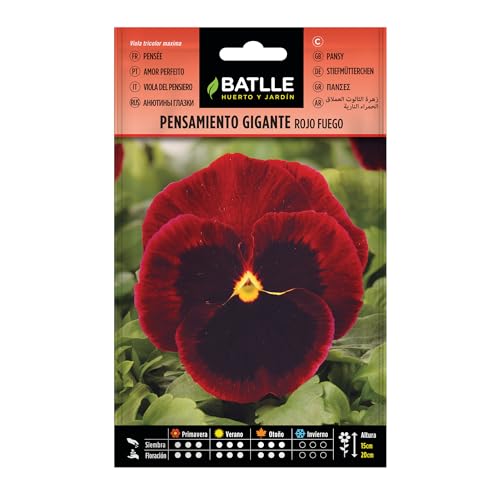 Semillas Batlle Pensamiento Gigante ROJO FUEGO - Sports & Fitness Amazon Espagne à 0.69€