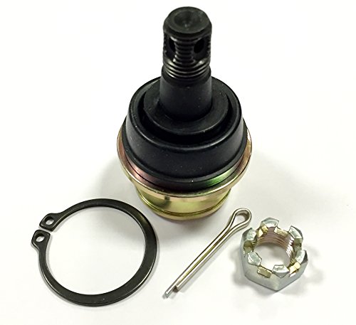 ALL BALLS Kit snodo Sospensione 42-1031 - Sports & Fitness Amazon Italie à 14.18€