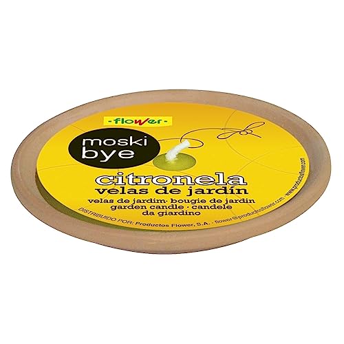 Flower 20554 – Bougie Plat, Couleur Terre Cuite - Garden & Outdoor Amazon France à 4.82€