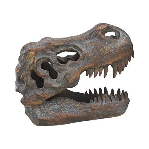 Nemesis Now Tyrannosaure Rex Crâne Autonome Gris 18,5 cm - Jouets & Jeux en promo à 22.52€