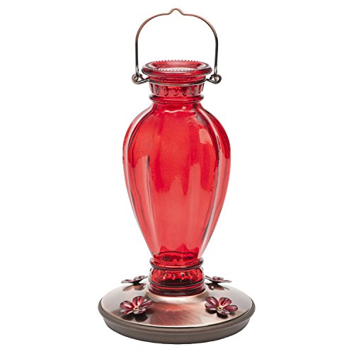 Perky Pet 8133-2 Daisy Vase Vintage Glass Hummingbird Feeder - Home & Kitchen Amazon UK à 9.95€