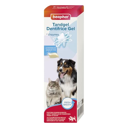 BEAPHAR – Gel dentifrice pour chien et chat – Nettoyage des... - Sports & Fitness en promo à 4.90€