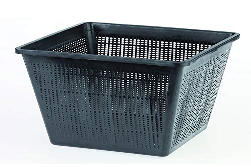 Oase Vaso CESTELLO Quadrato per Piante ACQUATICHE 23CM... - Jardin & Extérieur Amazon Italie à 2.85€