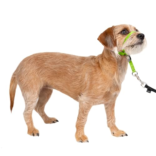 PetSafe Sanfter Führer Halsband mit Trainings-DVD - Sports & Fitness Amazon Allemagne à 11.14€
