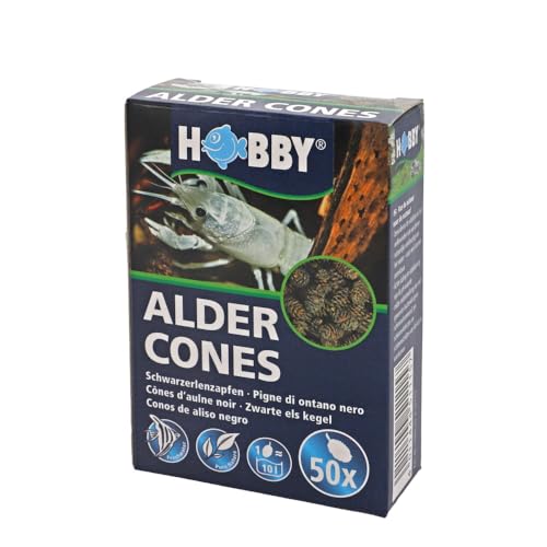 Hobby 51115 Alder Cones - Conos de Aliso - Amazon Espagne à 6.09€