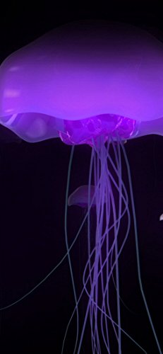 PeelitStickit Underwater, Undersea Wall Murals, ID-032... - Maison & Cuisine Amazon Royaume-Uni à 41.91€