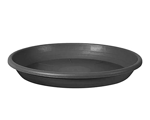 Veca - Plato cilindro 13cm antracita (maceta 14cm) - Amazon Espagne à 1.30€