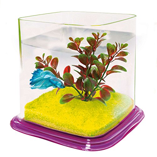 ICA pt072e Bettera Betta Paradise - Home & Kitchen Amazon France à 19.50€
